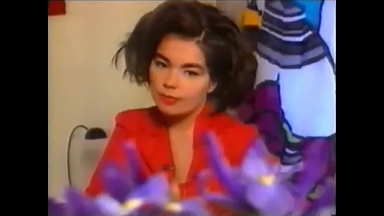 Sugarcubes interview (New Music Show 1992) - Bjork