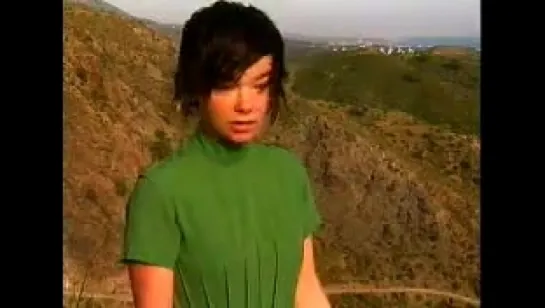 Bjork spanish interview.