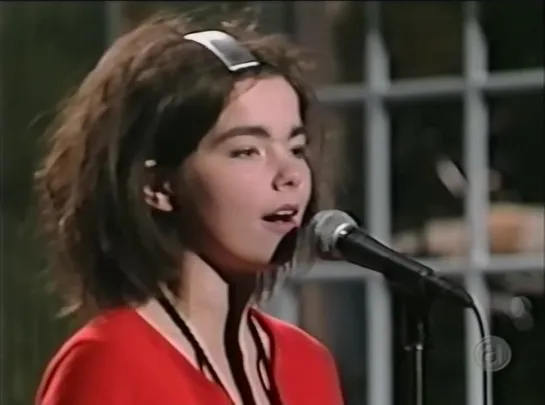 Sugarcubes - Birthday - Live at SNL (1988) - Bjork