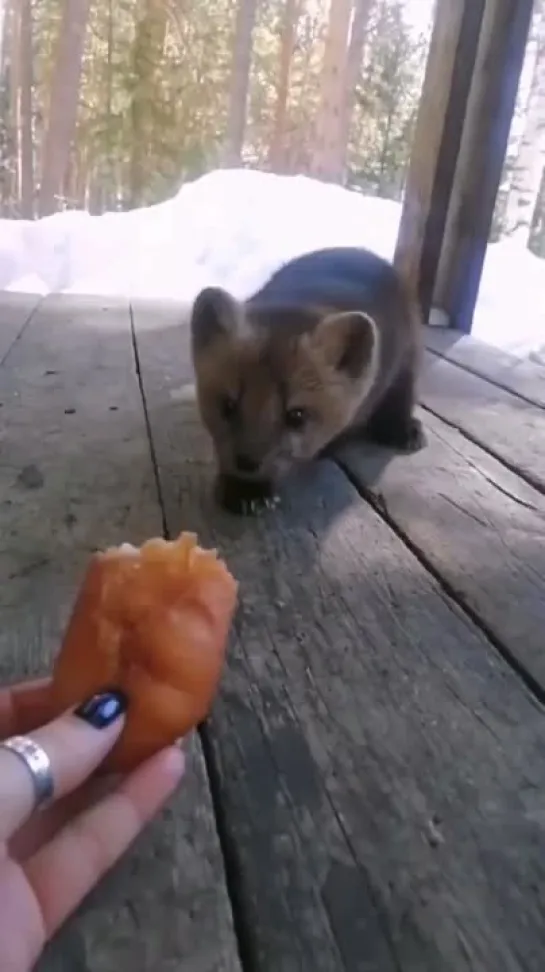 Видео от Весёлый Социопат