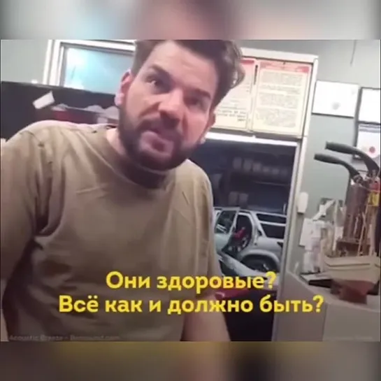 Видео от Счастье