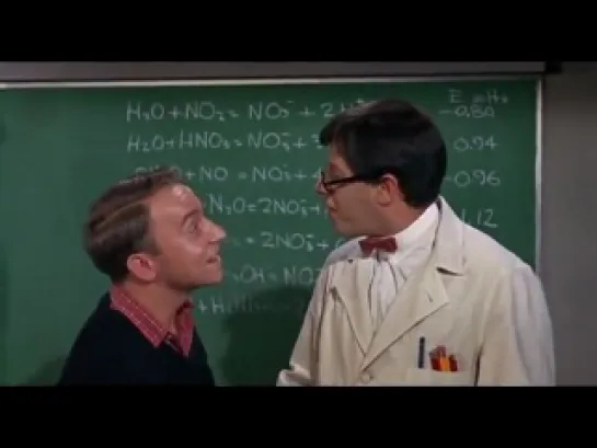 The Nutty Professor (1963)