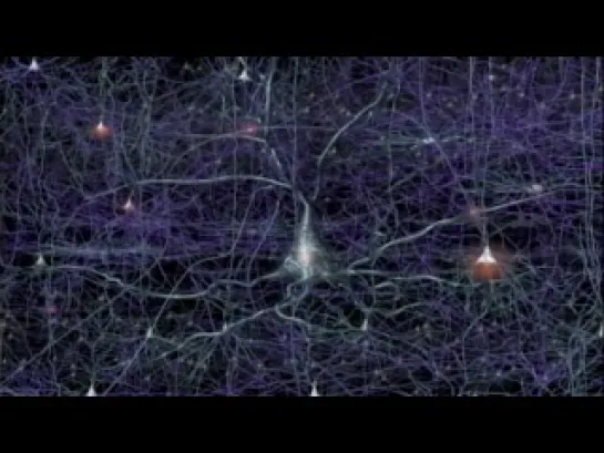 Discovery: The Brain. Our Universe Within. Matter Over Mind (1994) 4 of 4