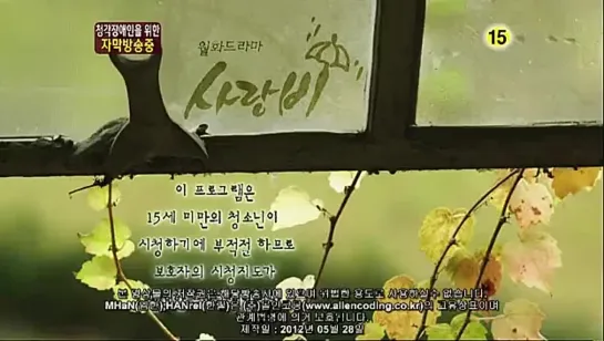 [ОЗВУЧКА ]Дождь любви / Love rain [19/20] GREEN TEA