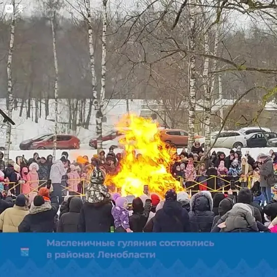 Масленица в Ленобласти