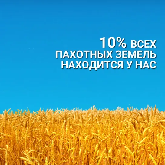 Как сохранить нашу природу и природные богатства России? Видео о самом важном