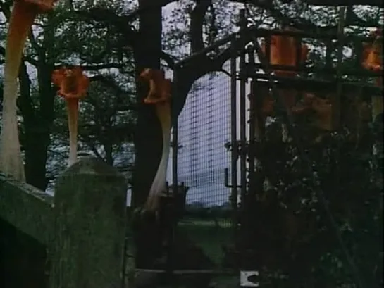 The Day of the Triffids - Part Six (Ken Hannam, 1981)