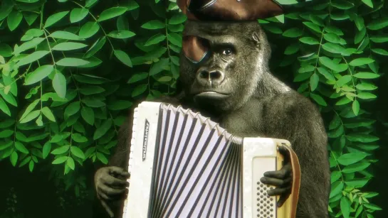 RUMAHOY — Harambe, The Pirate Gorilla (official video • 2020)