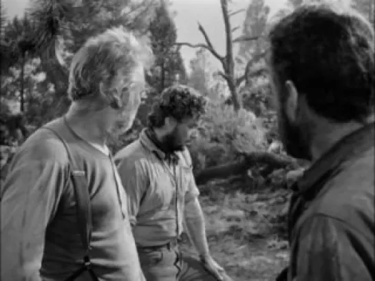 El Tesoro de Sierra Madre (Huston, 1948)