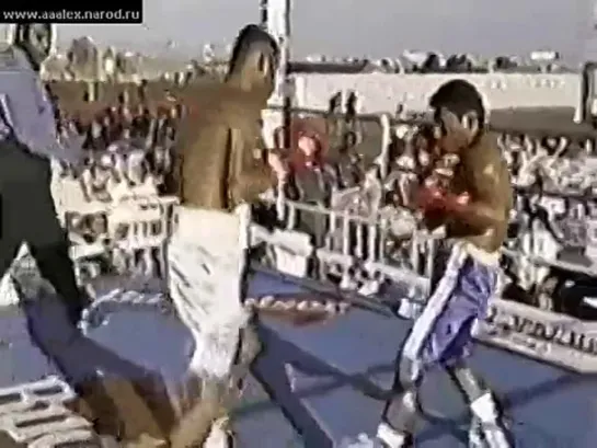 1998-07-05 Diego Corrales vs Benito Rodriguez