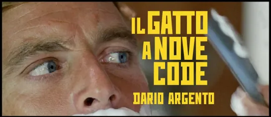 Il Gatto A Nove Code / Кошка о девяти хвостах (1971) Dario Argento / Дарио Ардженто. Италия. Giallo