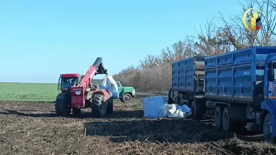 В Республике завершается уборка подсолнечника.