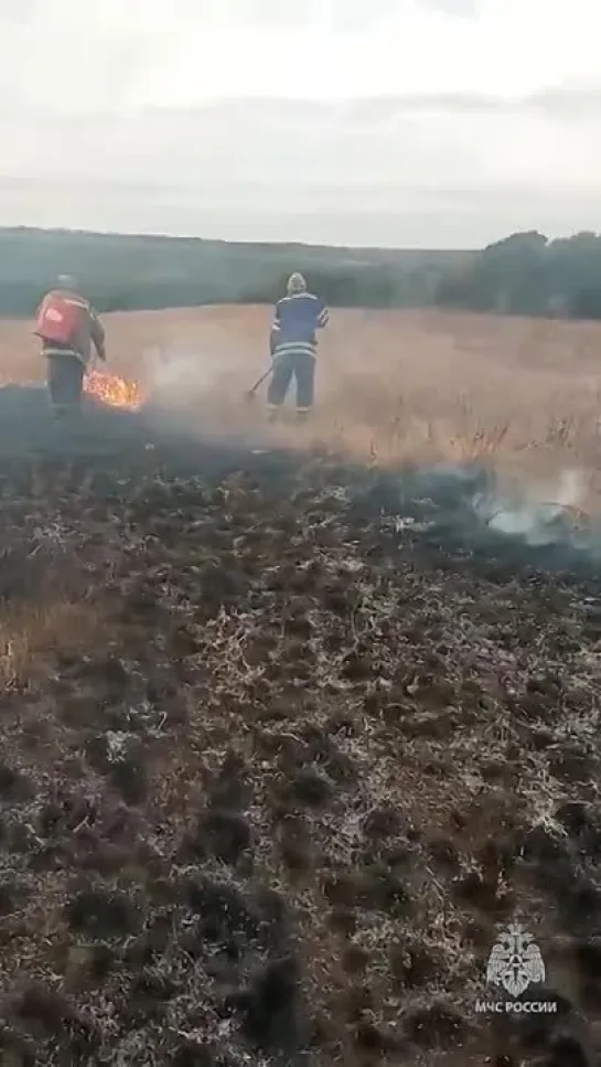 В Шахтёрском районе пожарно-спасательные подразделения ликвидировали пожар на площади 60 гектаров.