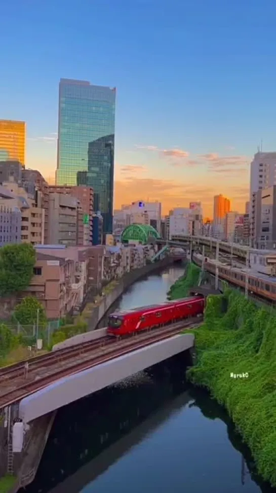 東京