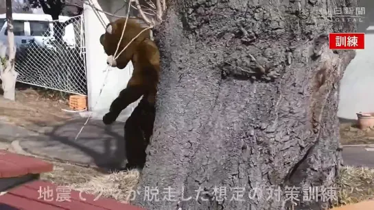 日立市神峰動物園