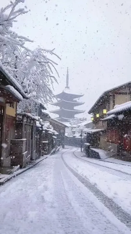 京都が本気出した雪の日がこれ