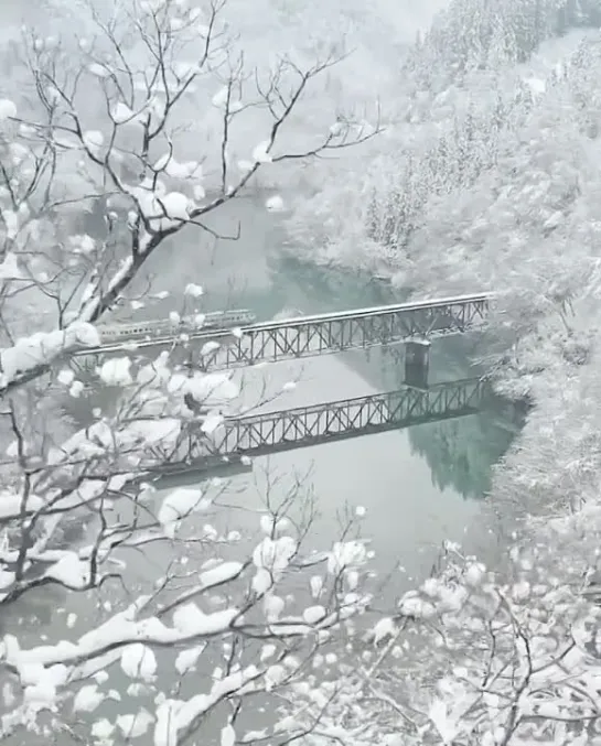 雪で閉ざされた福島は、最高に美しい