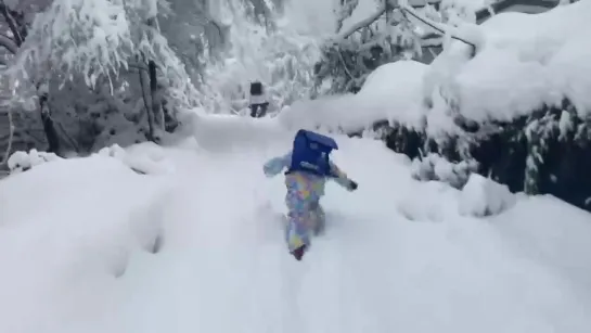 うちの子の通学路見てください兵庫県