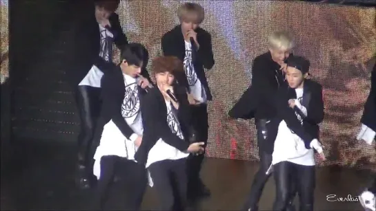 `FANCAM` 141116 | Bangtan - War of Hormone @ The Red Bullet (Токио, Япония)