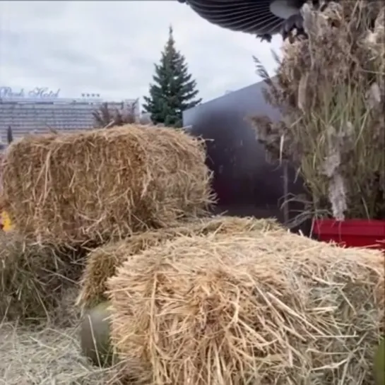 Видео от Типичный Нижний Новгород