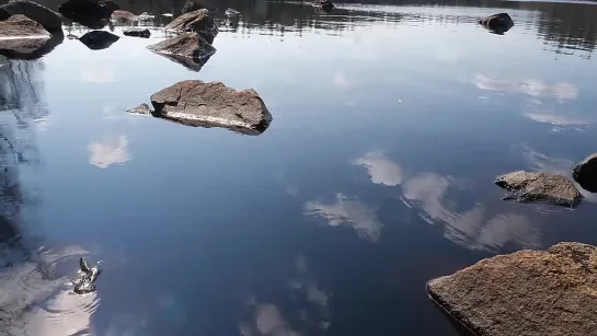 Шесть дней бушкрафта