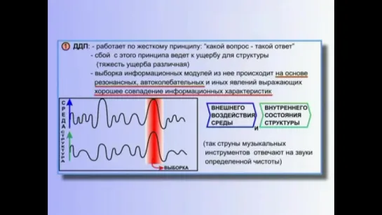 11-Описание работы интеллекта