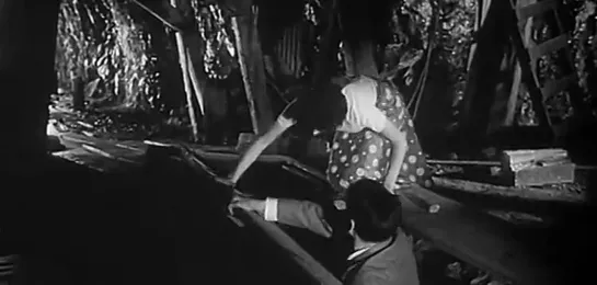 La invasion de los ladrones de cuerpos (1956) castellano