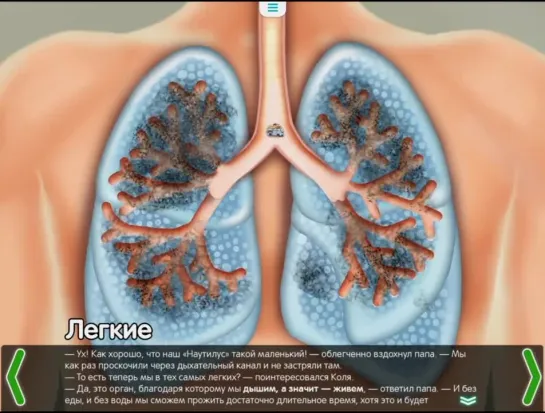 Легкие. Строение легких - развивающий мультфильм для детей