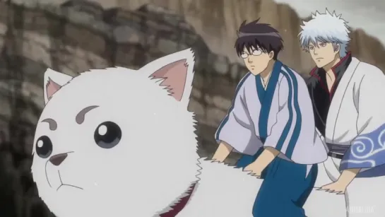 Gintama 5 / Гинтама ТВ-5 - 7 серия | Nazel [AniMedia.TV]