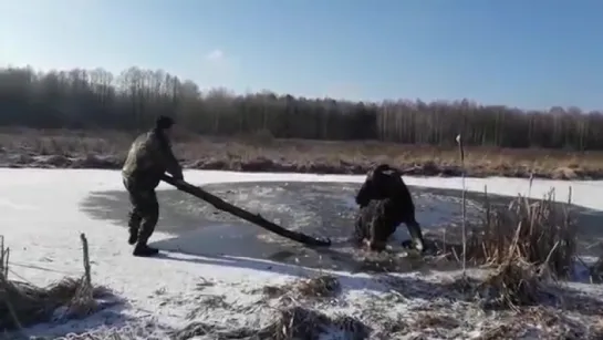 Спасение лося, провалившего под лед в холодную воду