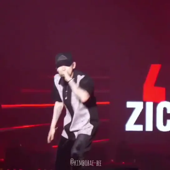 190803 ZICO - Turtle Ship (@ KB LIIV CONCERT) #2