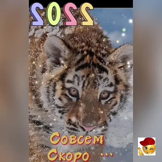 Скоро буду🤩