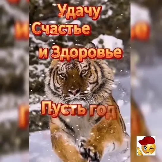 Я уже в пути🐾