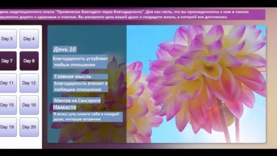 День 10. Благодарность углубляет любые отношения. Опра Уинфри и Дипак Чопра 21 день медитаций. Благодарность.