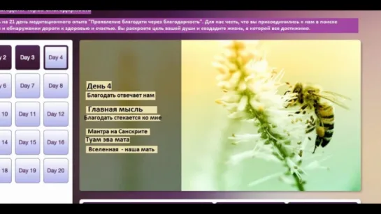 День 4. Благодать отвечает нам. Опра Уинфри и Дипак Чопра 21 день медитаций. Благодарность.