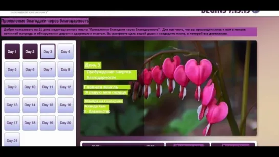 День 3 Пробуждение энергии благодарности. Опра Уинфри и Дипак Чопра 21 день медитаций. Благодарность.
