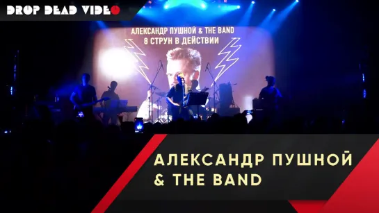 Александр Пушной - Dirty Diana. Санкт-Петербург 24.05.18