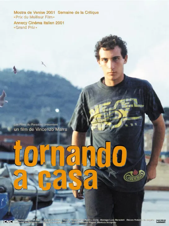 Tornando a casa (2001)