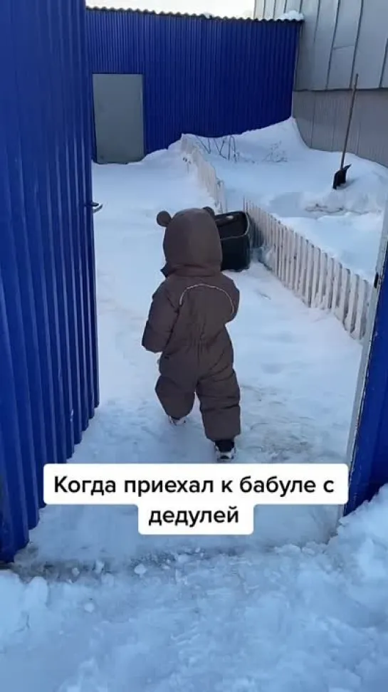 Бабушкина суета