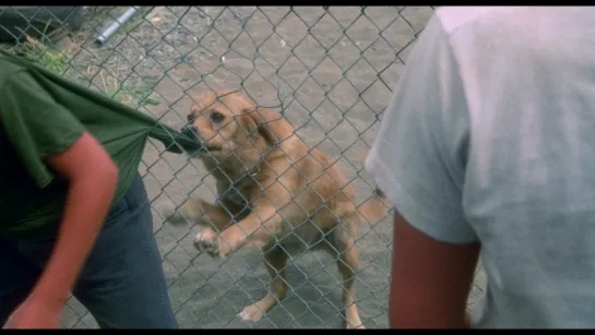 Останься со мной / Stand by Me (1986) [перевод Ю. Живов]