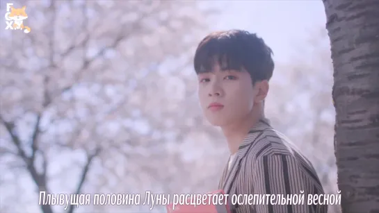 [FSG FOX] N.Flying - Spring Memories |рус.саб|