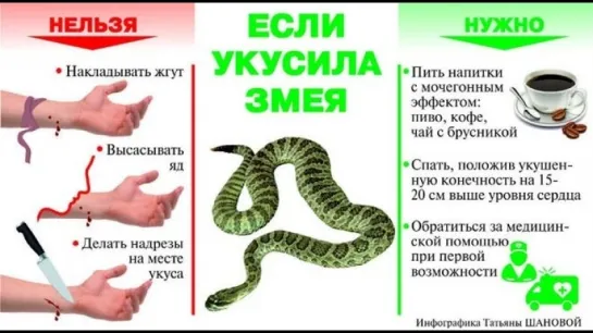 Неотложная помощь при укусе змеи