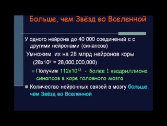 Лекция: Чего мы не знаем о мозге? Татьяна Черниговская (03.02.2010)