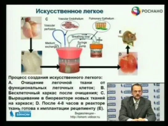 Нанобиотехнологии в современном мире. Практическое использование знаний наномира в современных биотехнологиях. Часть 2