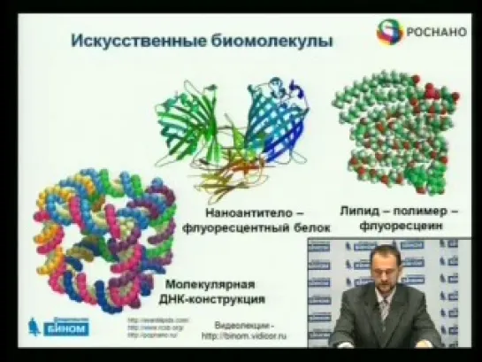 Нанобиотехнологии в современном мире. Практическое использование знаний наномира в современных биотехнологиях. Часть 1