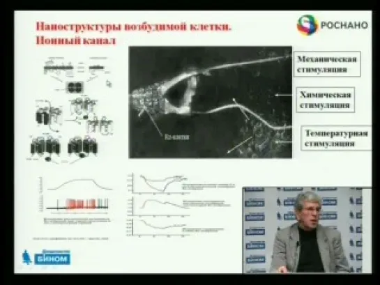 Возможности использования знаний наномира в медицине и фармакологии настоящего и будущего. Часть 3