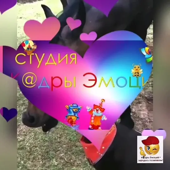 Друзья навеки🥰