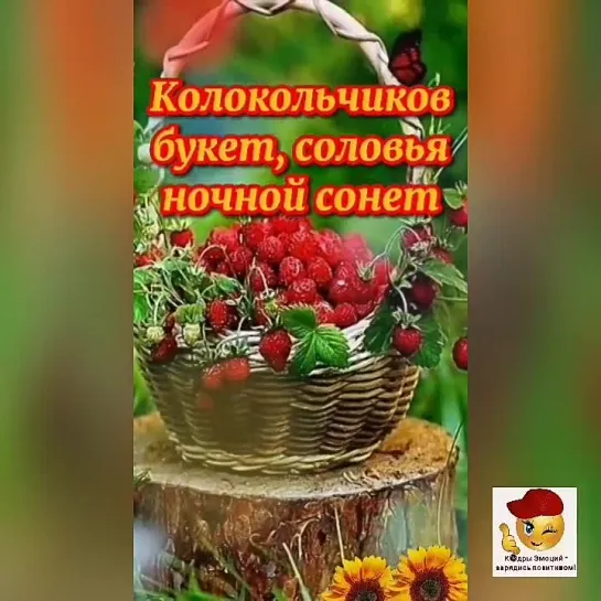 Долгожданное лето🤩