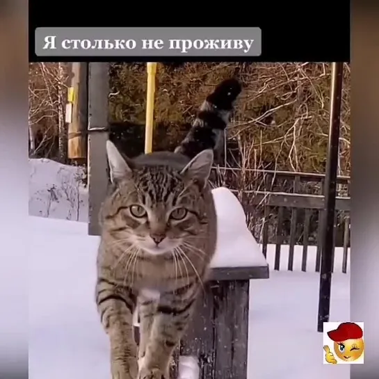 Лучший друг❤️