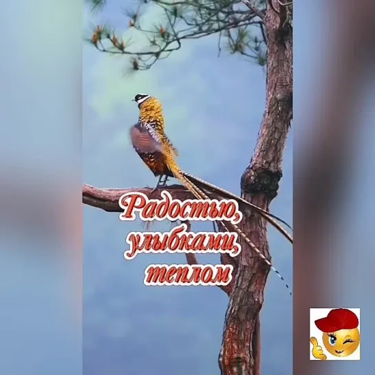 Доброго дня❣️